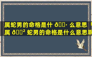 属蛇男的命格是什 🌷 么意思「属 🌲 蛇男的命格是什么意思啊」